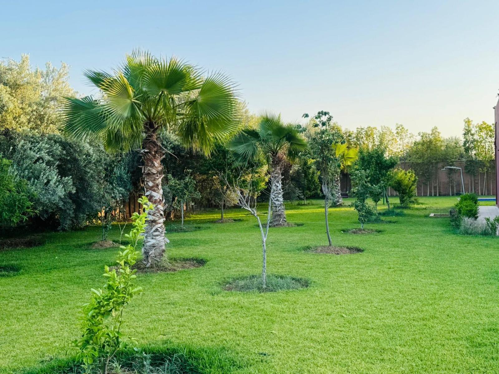 Villa Salah Marrakesh Buitenkant foto